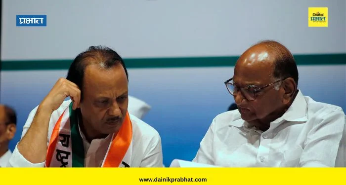 Ajit Pawar : दोन्ही राष्ट्रवादीच्या विलिनीकरणाचा निर्णय आता शरद पवार नाही तर ‘ही’ व्यक्ती घेणार