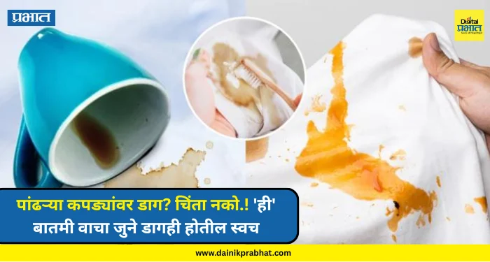 Lifestyle : पांढऱ्या कपड्यांवर डाग? चिंता नको.! ‘ही’ बातमी वाचा जुने डागही होतील स्वच्छ