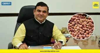 Maharashtra Tur Procurement : महाराष्ट्रातील तूर उत्पादक शेतकऱ्यांसाठी मोठा निर्णय; ३.३७ लाख मेट्रिक टनाला केंद्राची मंजुरी