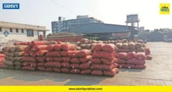 Alephata Market : आळेफाट्यात कांद्याचा महापूर! १० हजार गोण्यांची विक्रमी आवक; काय राहिला बाजारभाव?