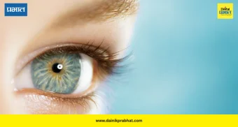 Eye Structure: बोलके डोळे… रचना, कार्य आणि दृष्टीमागचं जाणून घ्या विज्ञान!