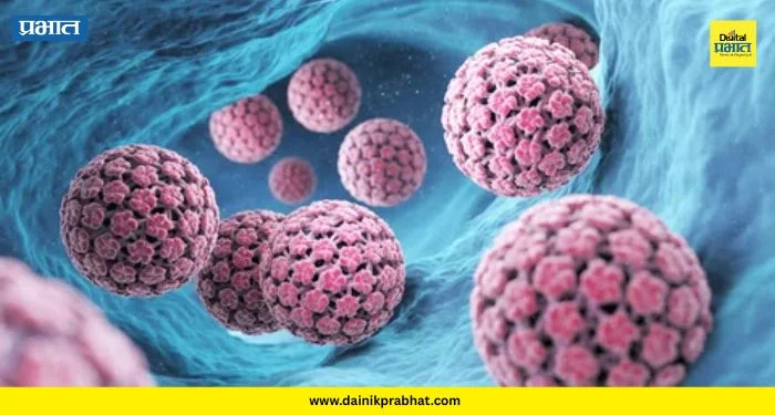 What is HPV: कॅन्सरला हरवायचेय? मग ‘HPV’ ला समजून घेणे आहे काळाची गरज!