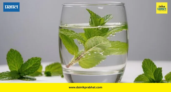 Mint Water: पुदिन्याच्या पाण्यात दडलेला आहे चांगल्या आरोग्याचा खजिना; पण कसे आणि कधी प्यावे हे जाणून घेणे महत्त्वाचे