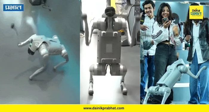 AI Impact Summit 2026: “चिनी रोबोट आणून भारताचा अपमान केला” ; सरकारकडून गलगोटियास विद्यापीठाला एक्स्पो सोडण्याचे आदेश