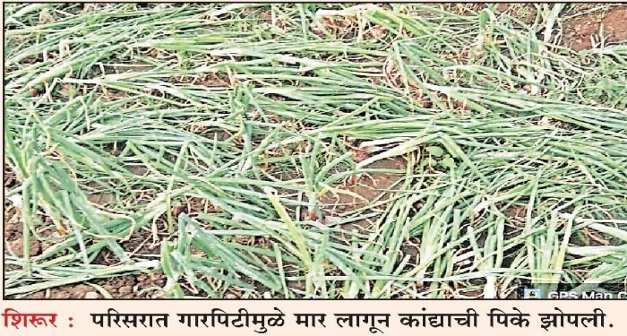 Pune District : शिरूर तालुक्यात अवकाळी पावसाचा तडाखा