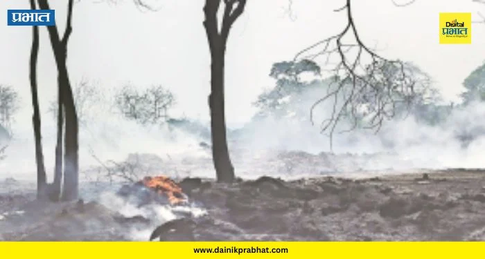 Chemical Smoke : खोपोलीतील ‘त्या’ भंगार दुकानाच्या आगीने उडवली झोप; नागरिकांच्या आरोग्याचा प्रश्न ऐरणीवर