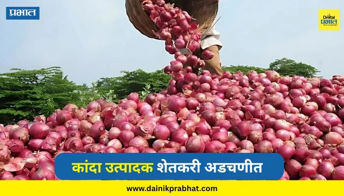Onion farmers: महाराष्ट्रातील कांदा उत्पादक शेतकरी संकटात; प्रतिक्विंटल 1500 रुपयांच्या अनुदानाची मागणी
