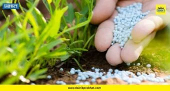 Agriculture News : सावधान! रासायनिक खतांच्या अतिरेकाने तुमची शेती 'नापीक' तर होत नाहीये ना? वाचा धक्कादायक वास्तव