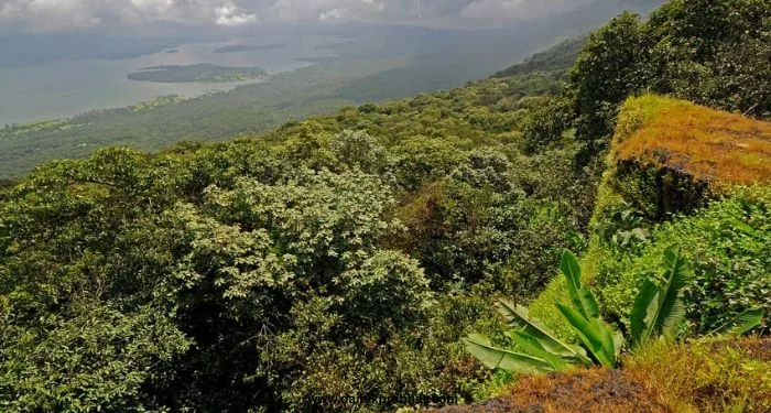 Ghodegaon Forest : सांबर, भेकर अन् तरस…घोडेगाव वनपरिक्षेत्रात वन्यप्राणी प्रगणना; विविध प्राणी-पक्ष्यांची नोंद