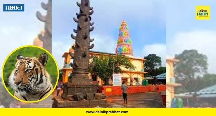 Kalamma Devi Yatra : सह्याद्रीच्या कुशीत ‘बाजी’चा थरार; काळम्मादेवीच्या यात्रेला वाघ येतोच, अख्यायिकेला मिळाला पुरावा..पाहा