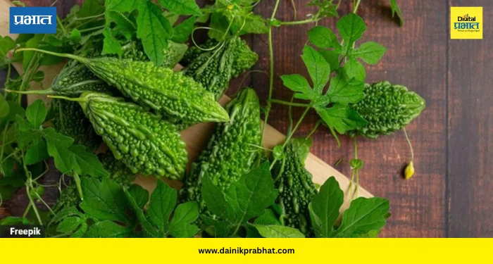 Bitter Gourd: कारल्याचा कडूपणा कमी करण्यासाठी या सोप्या किचन टिप्स वापरा; भाजी होईल अधिक चविष्ट