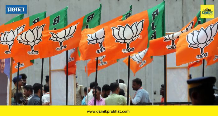 BJP Politics : भाजपचा मास्टरस्ट्रोक! पक्ष संघटनेत केले मोठे फेरबदल