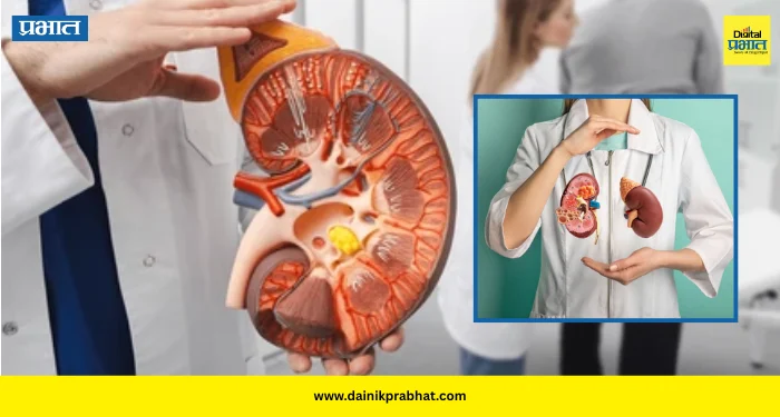 Kidney failure : शरीराचा सायलेंट किलर.! किडनी फेल होण्याआधी शरीर देतं ‘हे’ संकेत; लक्षणे आणि उपाय जाणून घ्या