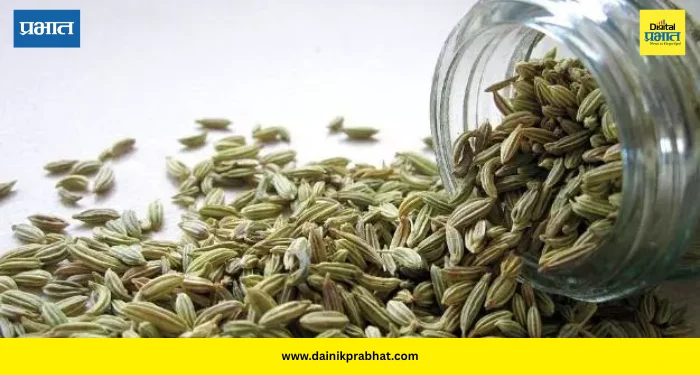 Fennel Seeds Benefits: फक्त माउथ फ्रेशनर नाही! उन्हाळ्यात बडीशेपचा योग्य वापर केल्यास मिळतील ‘हे’ जबरदस्त आरोग्यदायी फायदे