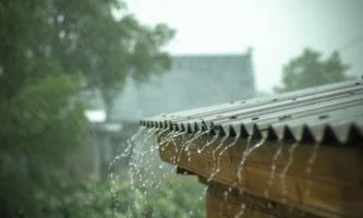 Weather Update: आजपासून पावसाचा जोर वाढण्याची शक्यता; येलो अलर्ट जारी