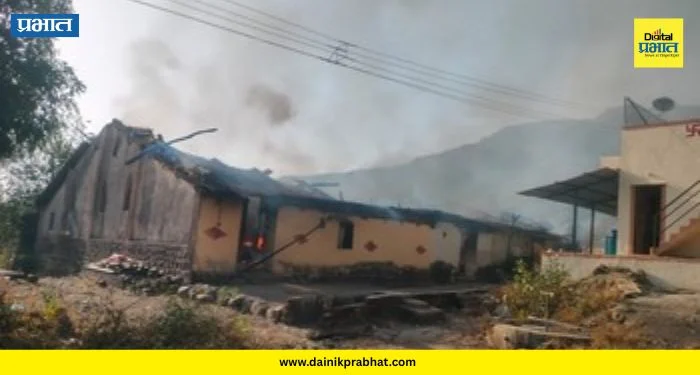Bhalgudi Lavhalwadi Fire : मुळशीत आगीचा तांडव! लव्हाळवाडीत एकापाठोपाठ ८ घरे खाक; नेमकं काय घडलं?