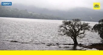 Kaas Lake : युनेस्को वारसा स्थळावर कुऱ्हाड! कास तलाव परिसरातवृक्षांची बेकायदा कत्तल; प्रशासनाचे  दुर्लक्ष