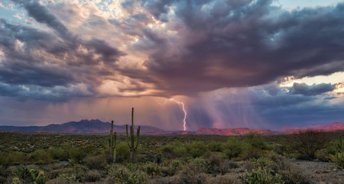 Monsoon News