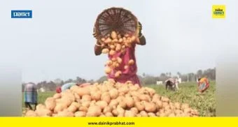 Potato Procurement : उत्तर प्रदेशात 6,500 रुपये दराने बटाटा खरेदी; केंद्र सरकारचा मोठा निर्णय