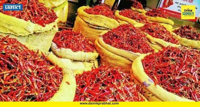 Chilli Price Hike : तिखट झाली मिरची! अवकाळीचा फटका अन् गृहिणींचे बजेट कोलमडले; पाहा काय आहे दर