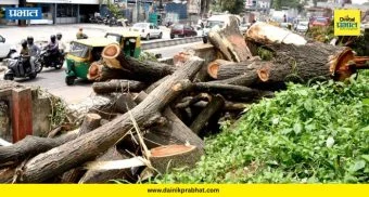 Pune Metro : मेट्रो विस्तारासाठी 'इतक्या' झाडांची होणार कत्तल; धक्कादायक आकडा समोर