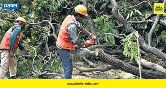 Nashik tree cutting stay : कुंभमेळ्यासाठी वृक्षतोडीला २८ एप्रिलपर्यंत स्थगिती; पर्यावरणप्रेमींच्या याचिकेला मोठं यश