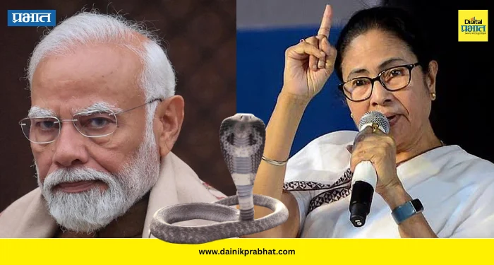 Mamata Banerjee : “सापावर विश्वास ठेवता येतो, पण भाजपवर कधीच नाही….”; ममता बॅनर्जी यांचा भाजपवर हल्लाबोल