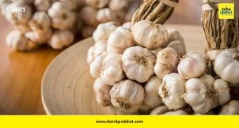 Garlic Benefits: रिकाम्या पोटी लसूण खाण्याची सवय लावा! शरीराला मिळतील जबरदस्त फायदे