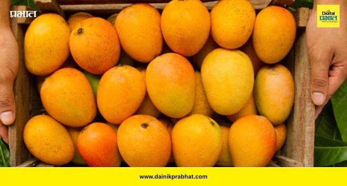 Chemically Ripened Mangoes : सावधान! तुम्ही खात असलेला आंबा ‘विष’ तर नाही? बाजारात केमिकलने पिकवलेल्या आंब्यांचा सुळसुळाट