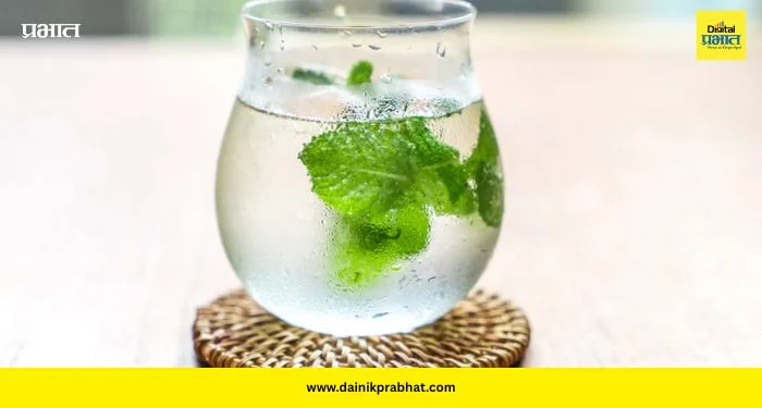 Glass Skin Tips: महागडे प्रॉडक्ट्स विसरा! रोज ‘हे’ पाणी प्या आणि मिळवा ‘ग्लास स्किन’चा नैसर्गिक ग्लो