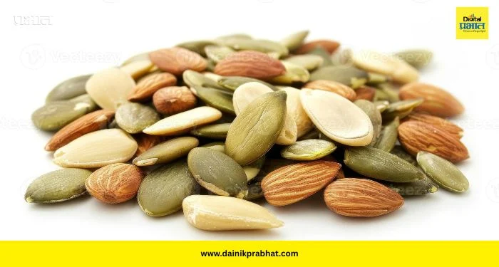 Zinc Rich Vegetarian Foods: झिंकने भरलेले ५ शाकाहारी पदार्थ; रोगप्रतिकारशक्ती वाढवा आणि आजारांपासून दूर राहा