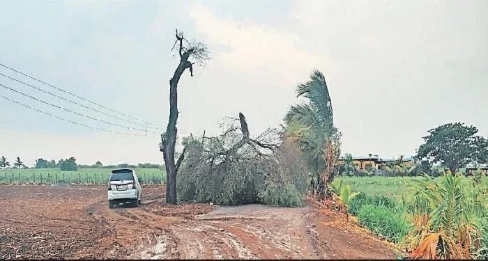 Pune District : जिल्ह्यात वादळी वारा, गारपिटीने दैना
