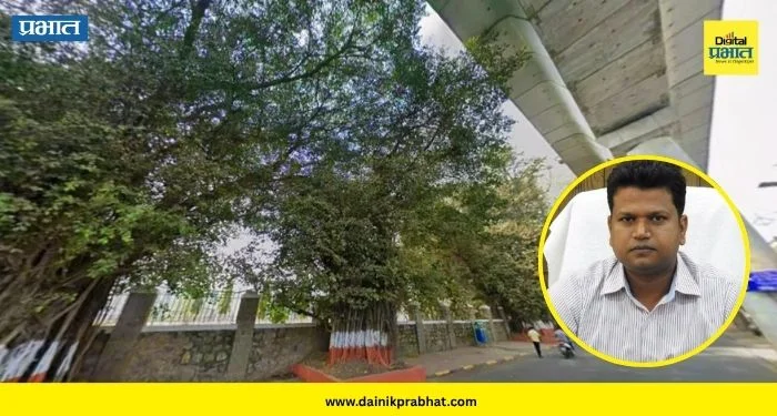 Tree Cutting Pune : गणेशखिंड रस्त्यावरील वृक्षतोडीला ‘ब्रेक’! महापालिका आयुक्त स्वत: घेणार सुनावणी