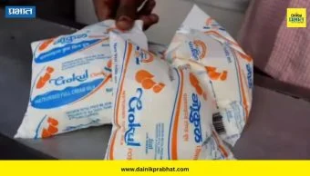 Gokul Milk Rate Hike: गोकुळ दूध संघाकडून गाईच्या दूध दरात वाढ; नवे दर कधीपासून होणार लागू?
