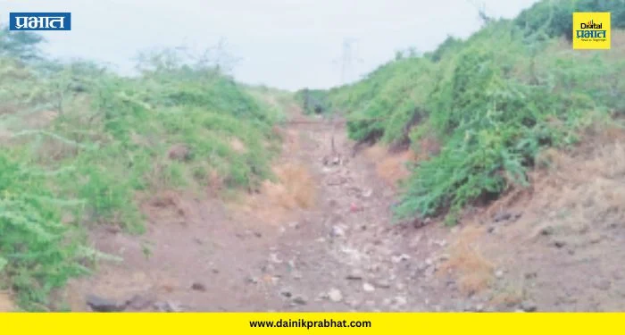 Indapur News : “कागदावर पाणी आलं, पण जमिनीवर कधी?” पाटबंधारे विभागाच्या ‘नियोजनशून्य’ कारभारावर इंदापूरकर आक्रमक