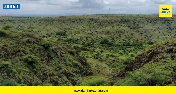 Satara Forest Department : माणदेशातील माळरानाला मिळणार ‘कवच’! किरकसाल-कुकुडवाडसाठी वन विभागाचा मोठा प्लॅन तयार