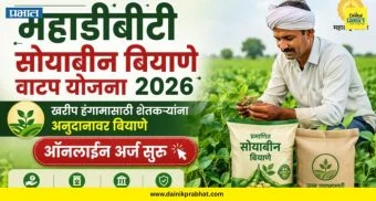 MahaDBT Seeds Lottery : शेतकऱ्यांनो लक्ष द्या! अनुदानावरील बियाणे वाटप सुरू; 'या' शेतकऱ्यांनाच मिळणार लाभ