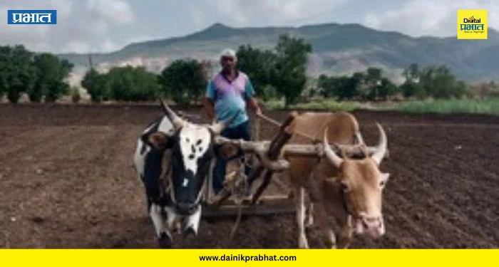 Maval Pre Monsoon Work : खरीप हंगामासाठी पवन मावळ सज्ज; पण यंदा हवामान बळीराजाची साथ देणार का? वाचा