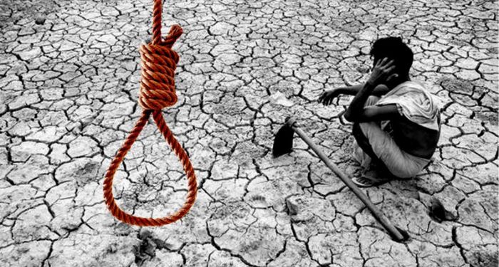 Farmer Suicides