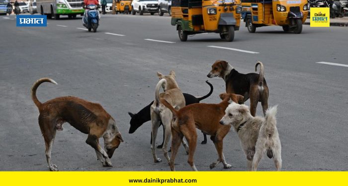 Pune Stray Dogs : भटक्या कुत्र्यांचा हैदोस थांबणार! पालिकेचा ३७ कोटींचा मास्टरप्लॅन; 'या' ३ ठिकाणी उभारले जाणार मेगा शेल्टर