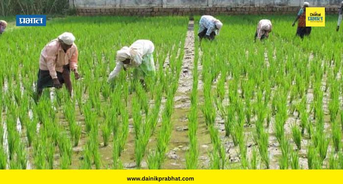 Farmer Loan Waiver : सरकारने कर्जमाफी संदर्भात घेतले तडकाफडकी 'हे' दोन मोठे निर्णय; बँकांना दिले थेट आदेश