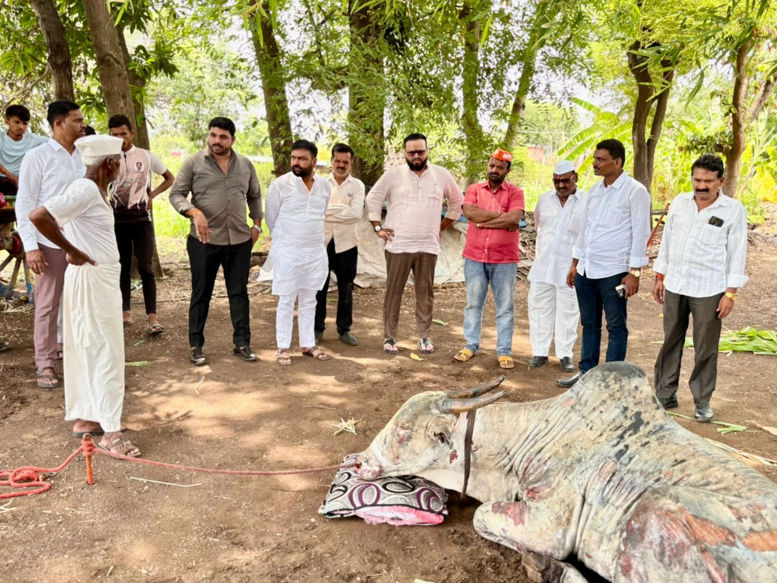 Tulapur Fire Accident : तुळापूरमध्ये भीषण दुर्घटना! शॉर्टसर्किटमुळे गोठ्याला आग, दोन बैल व घोडीचा दुर्दैवी मृत्यू