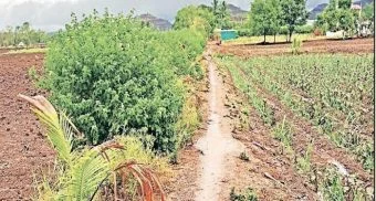 Pune District : मृत्यूनंतरही अडथळ्यांची शर्यत; मृतदेहाला घरापर्यंत आणण्यासाठी रस्त्याविना तारेवरची कसरत