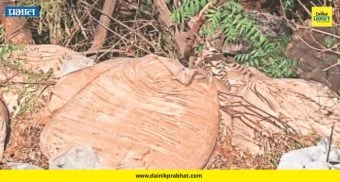 Shirur News : एफडीएच्या कारवाईची एवढी धास्ती? तब्बल ३५० किलो खवा शेतात फेकून टोळी फरार; चौकशीची मागणी