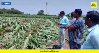 Baramati Crop Damage : २ रुपयांवरून ३४ रुपयांवर गेलेली केळी भुईसपाट; गारपिटीने शेतकऱ्याचे मोठे नुकसान