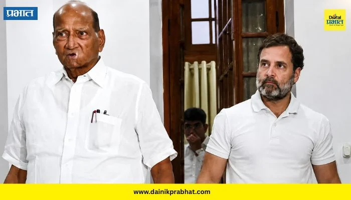 Maharashtra Politics : विलीनीकरणाची दिल्लीत खलबतं! काँग्रेसचे दोन बडे नेते राजधानीत; शरद पवार गटाकडून पहिली प्रतिक्रिया समोर