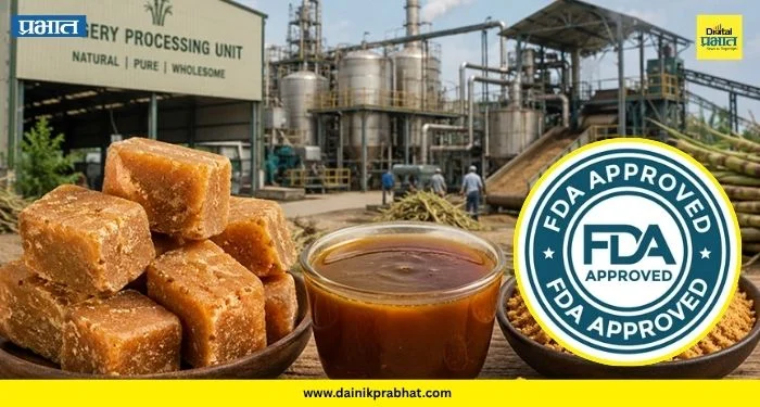 Daund FDA Raid : दौंडमध्ये एफडीएचा मोठा दणका! गुऱ्हाळघरांवर छापा टाकत लाखांचा गुळ-साखरेचा साठा जप्त