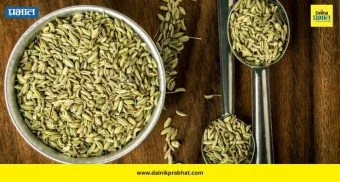 Fennel Seeds: अर्धा चमचा बडीशेप ठरू शकते अनेक आरोग्य समस्यांवर उपाय; जाणून घ्या फायदे आणि घरगुती उपाय