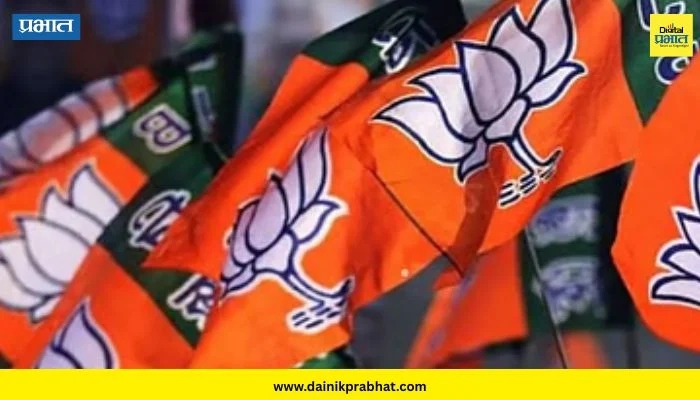 Maharashtra Politics : ‘ऑपरेशन टायगर’च्या चर्चांदरम्यान काँग्रेसचा बडा नेता भाजपच्या वाटेवर? म्हणाले…