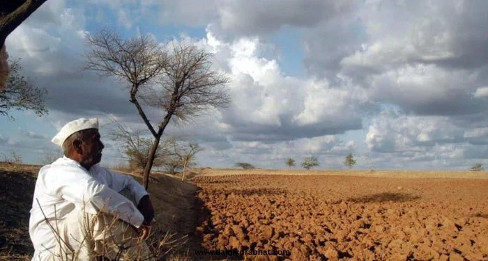 Crop Damage: सोयाबीन, घेवड्याचं उत्पादन घटणार? वाई तालुक्यातील बळीराजाची चिंता वाढली